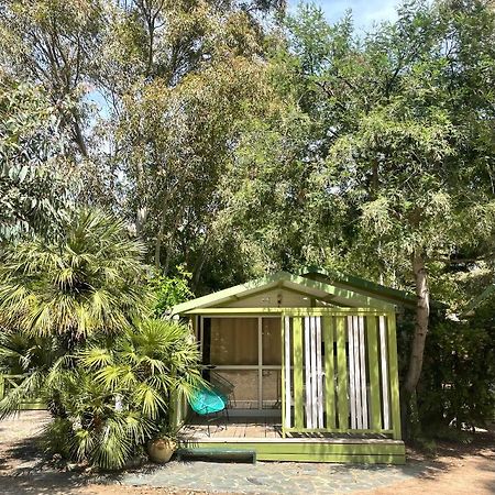Camping La Cle Des Champs 卡尔维 外观 照片
