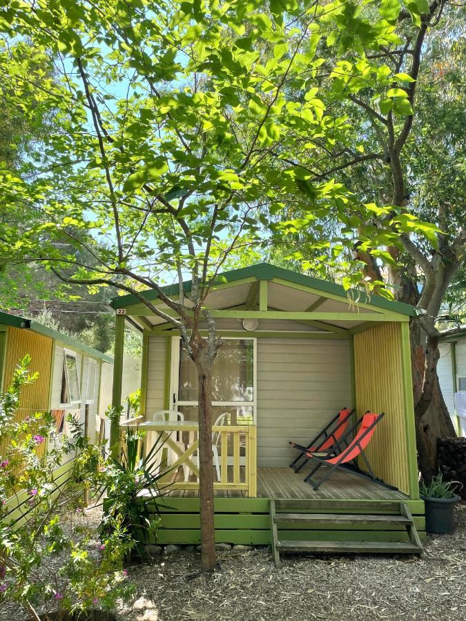 Camping La Cle Des Champs 卡尔维 外观 照片