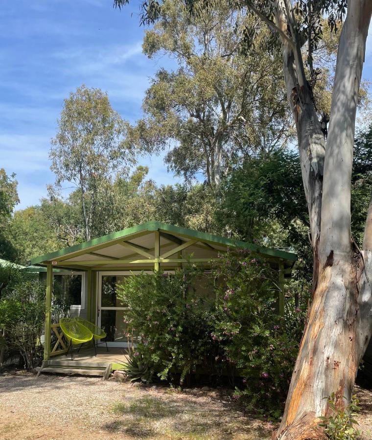Camping La Cle Des Champs 卡尔维 外观 照片