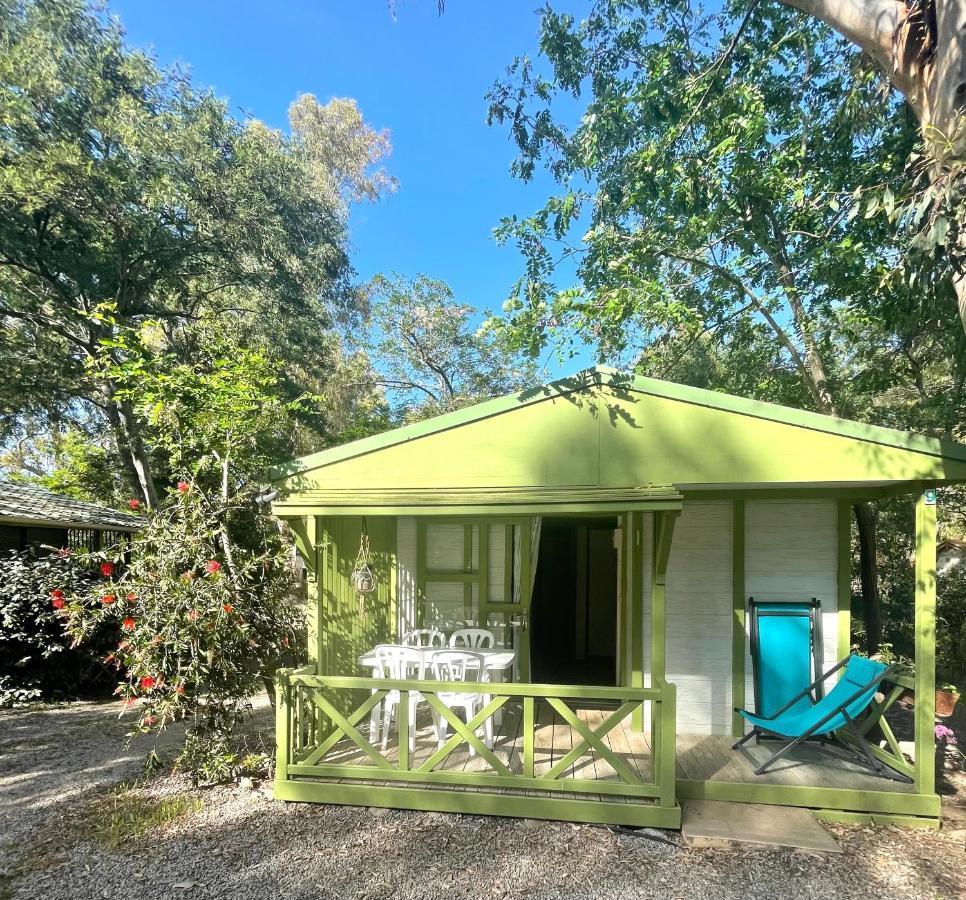 Camping La Cle Des Champs 卡尔维 外观 照片
