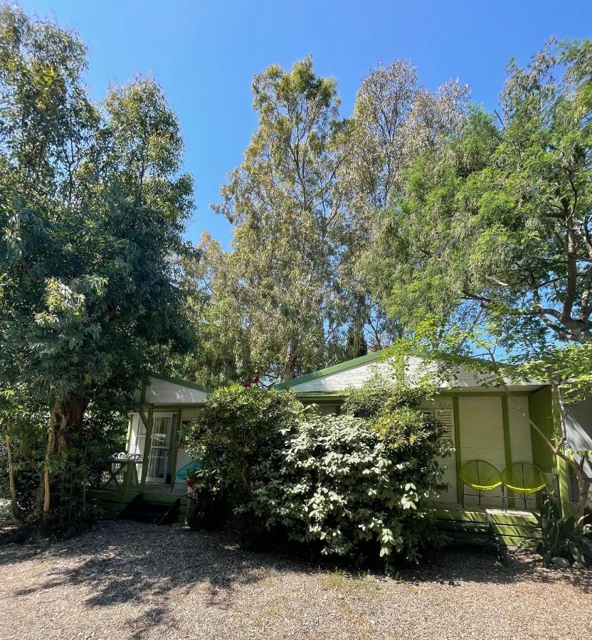 Camping La Cle Des Champs 卡尔维 外观 照片